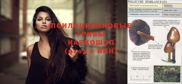 ешки Абинск