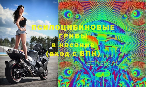соль ск Абаза