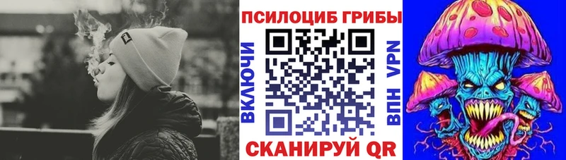 наркота  Чкаловск  Галлюциногенные грибы Cubensis 